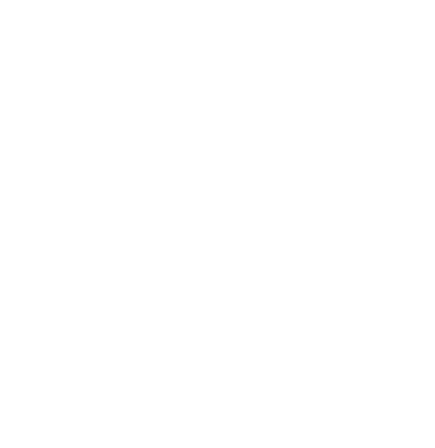 Vynex Media logo